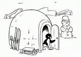 Penguin With Igloo And Snowman coloring Page  Download Print Or Color sketch template