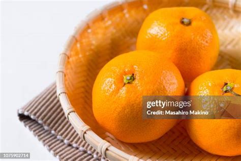 Citrus Unshiu Photos and Premium High Res Pictures - Getty Images