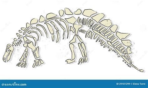 Dinosaur Bones Royalty Free Stock Images - Image: 29101299