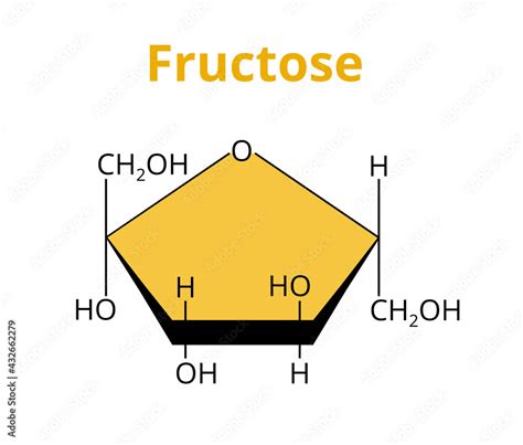 2D vector molecular structure of the dietary monosaccharide fructose or fruit sugar – ketonic ...