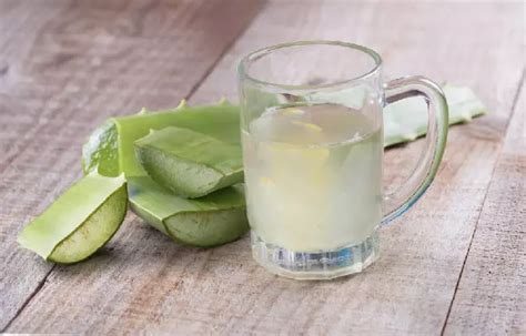 Sip Your Way to Wellness: Top 10 Aloe Vera Juice Brands in India