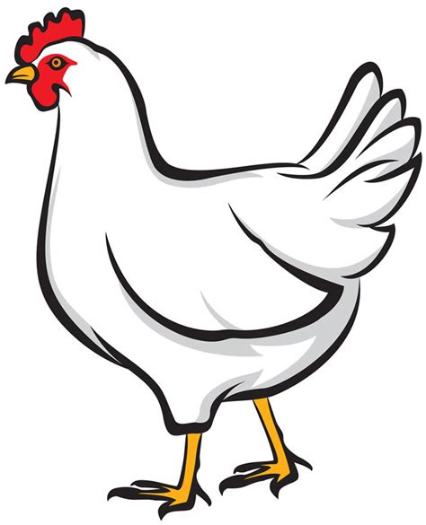 Chicken Vector - ClipArt Best