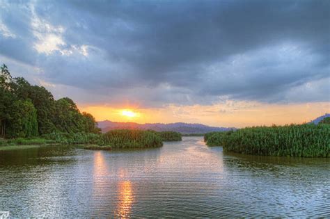 Chini Lake Malaysia - Images - XciteFun.net