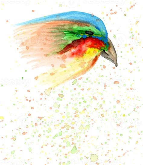 Watercolor hand drawn abstract illustration of bird for design ...