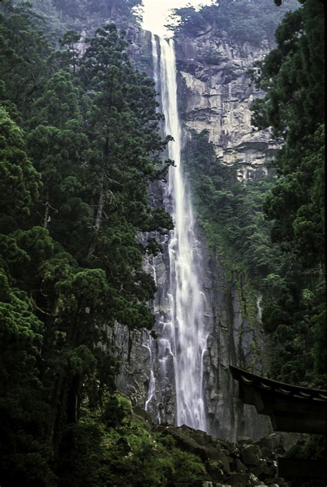 Nachi Falls in Japan image - Free stock photo - Public Domain photo - CC0 Images