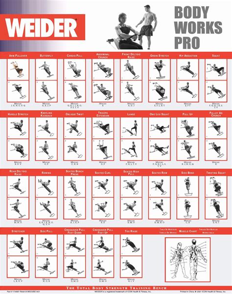 Printable Weider Ultimate Body Works Exercises – PDF Download & Full ...