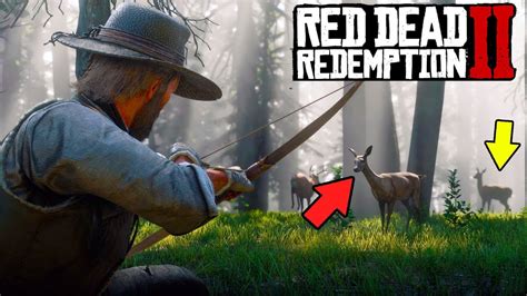 How to Hunt in Red Dead Redemption 2! Hunting Guide RDR2 Gameplay - YouTube