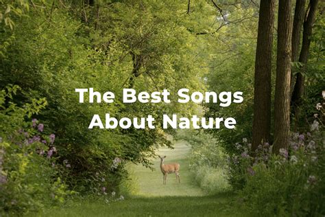 21 Of The Best Songs About Nature And The Environment