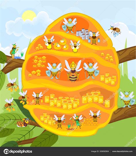 Yellow Cartoon Beehive Tree Branch Honey Bee Family Internal Structure Stock Vector Image by ...