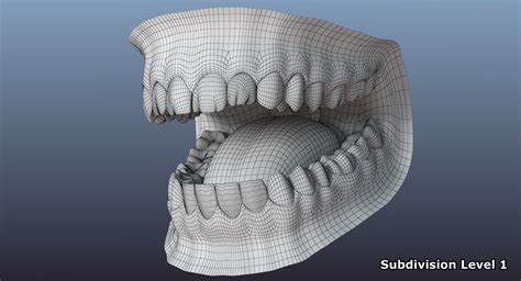 Mouth 3D Model $99 - .fbx .obj .ma - Free3D