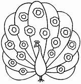 Free Printable Peacock coloring Page  Download Print Or Color Online sketch template