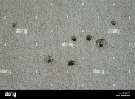 Bullet holes on wall in Sarajevo Stock Photo - Alamy