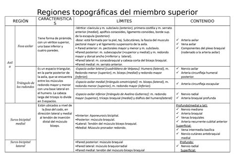 Regiones topográficas del miembro superior - Regiones topográficas del miembro superior REGIÓN ...