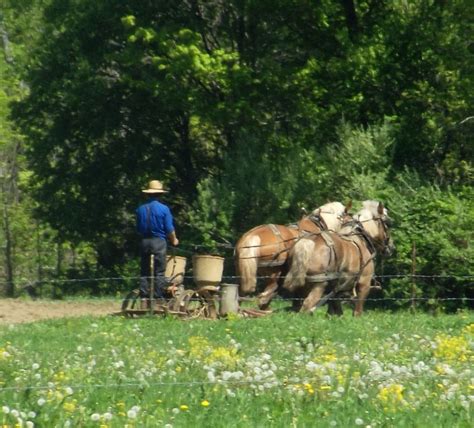 Amish Farming | Smithsonian Photo Contest | Smithsonian Magazine