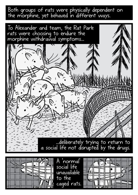 Rat Park (Science Comic by Stuart McMillen) - The Sieve of my Mind