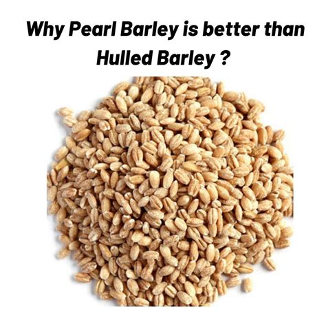 Pearl Barley vs Hulled Barley | Hulled barley, Pearl barley, Barley