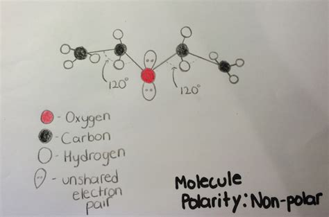 Molecule Drawing - Diethyl Ether