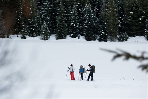 Alaska Airlines Snowshoe Adventure — Compass Outdoor Adventures