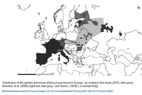 Garden Dormouse Conservation Initiative – Discover the mammals of Europe