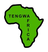 Services - Tengwa Africa