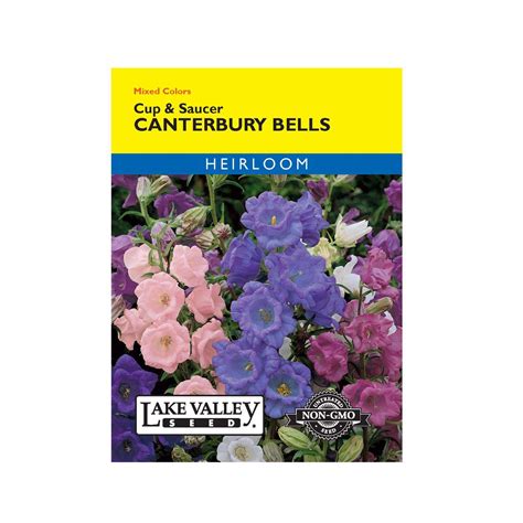 Lake Valley Seed Flower Seeds - Ace Hardware