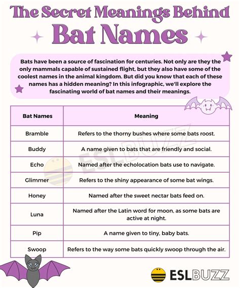 Adorable Bat Names for Your New Winged Friend - ESLBUZZ