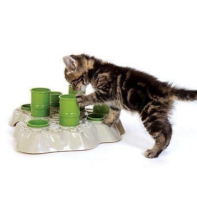 Cat Puzzle Feeder | Why Your Cat Needs A Puzzle Feeder | DIY