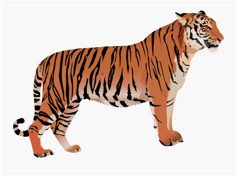 Clip Art Bengal Tiger Cartoon - Bengal Tiger Vector Png , Free ...