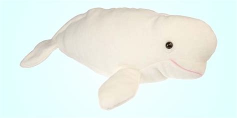 Plush Beluga Whale Stuffed Animal