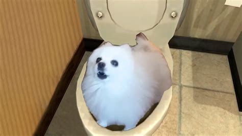 Skibidi Dog Toilet 1 - YouTube