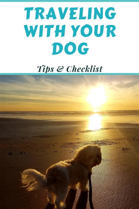 Traveling with Your Dog: Tips and Checklist | Your dog, Dogs, Dog travel