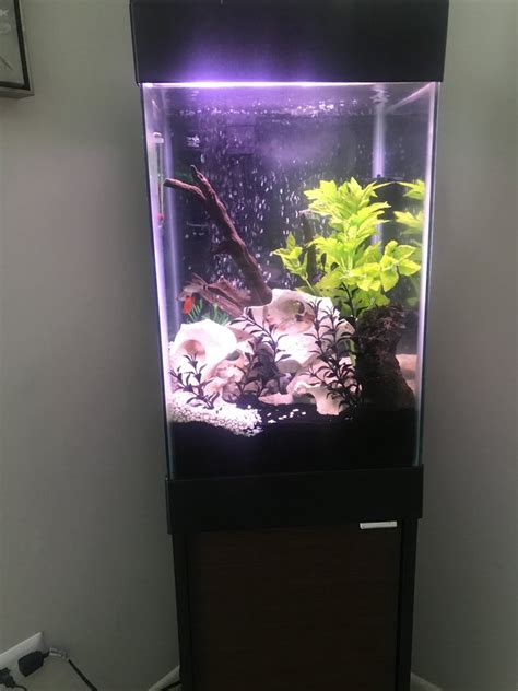 Photo #1 - 15 Gallon Tall Cube Aquarium - I Plan On Keeping ...