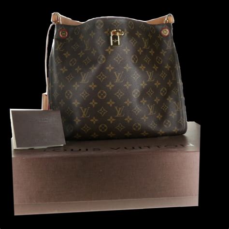 Louis Vuitton Monogram Bag