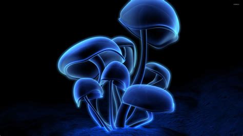 Aggregate more than 67 hd mushroom wallpaper best - in.cdgdbentre