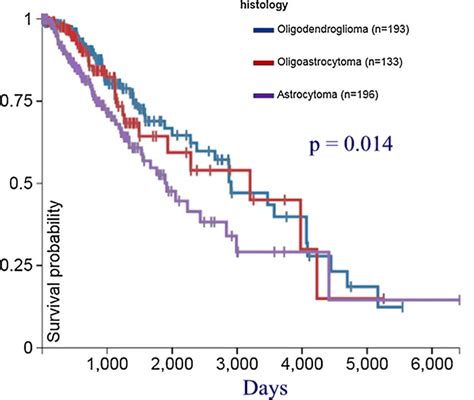 Survival of 522 patients stratified by histology. Astrocytoma patients... | Download Scientific ...