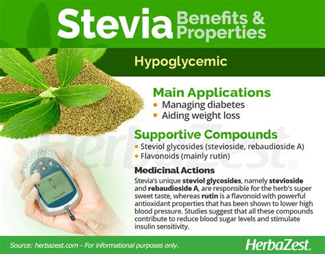 Stevia | HerbaZest