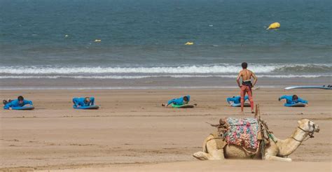 Essaouira: 4 Hour Surf Lesson | GetYourGuide