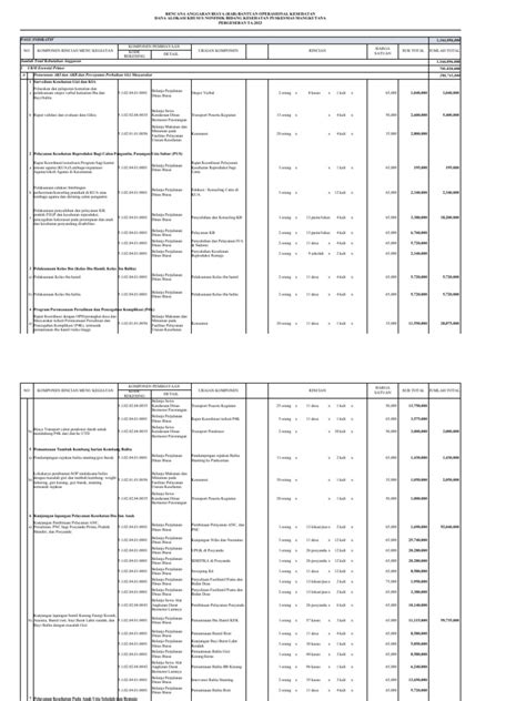 RPD Manual Dan INPUT | PDF