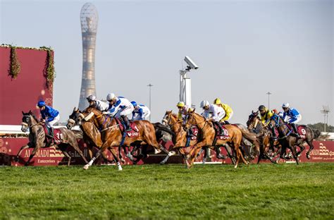 Qatar Horse Racing Club Calendar - Gwen Pietra