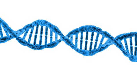 Family Zone DNA Group 家庭基因小組 - XPT Resources