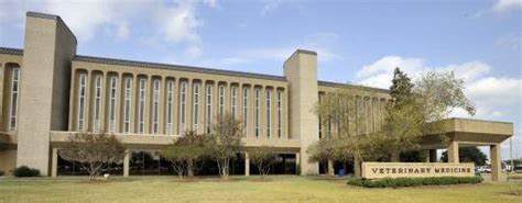 LSU Vet School!! My School!!! ; )) | Vet School | Pinterest