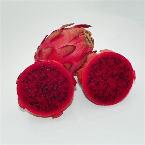 Hylocereus ocamponis red flesh Dragon Fruit variety from Spicy Exotics