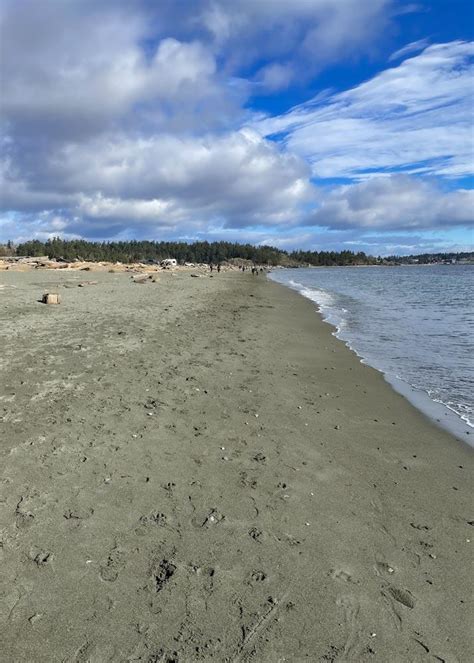 Esquimalt Lagoon 2km Sand Beach & Spectacular Sculptures