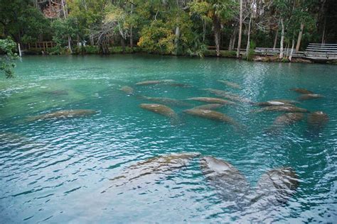 Make a Splash at These 14 Natural Waterparks in Florida • Authentic Florida