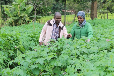 The Green Belt Movement is Saving the World and Empowering Women