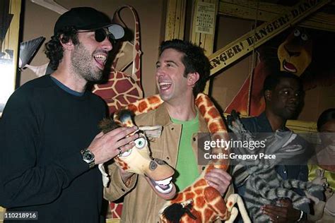 414 Schwimmer Madagascar Photos & High Res Pictures - Getty Images