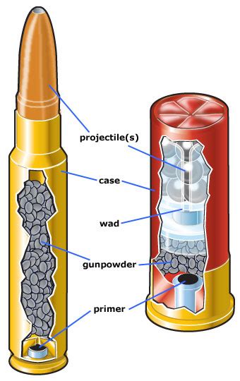 Which Term Describes the Use of This Ammo