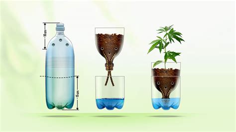 Hydroponic Wick Systems for Cannabis: Step-By-Step Grower's Guide