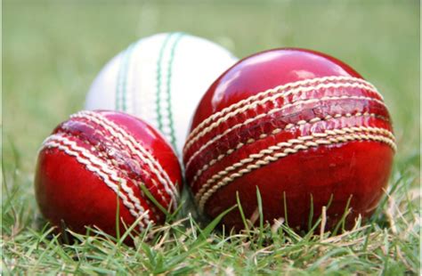 Cricket Equipment | How to Play Cricket | WagerWeb's Blog