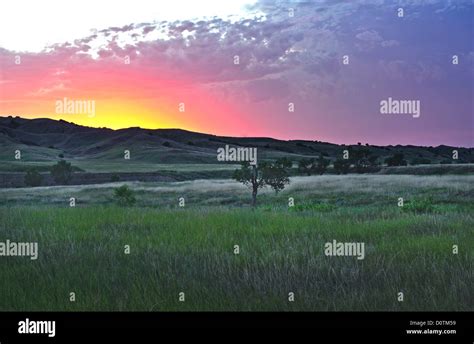 America, Great Plains, lone tree, sunset, landscape, Grassland ...